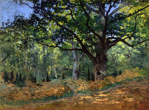 クロード・モネ　「フォンテーヌブローの森のオーク」