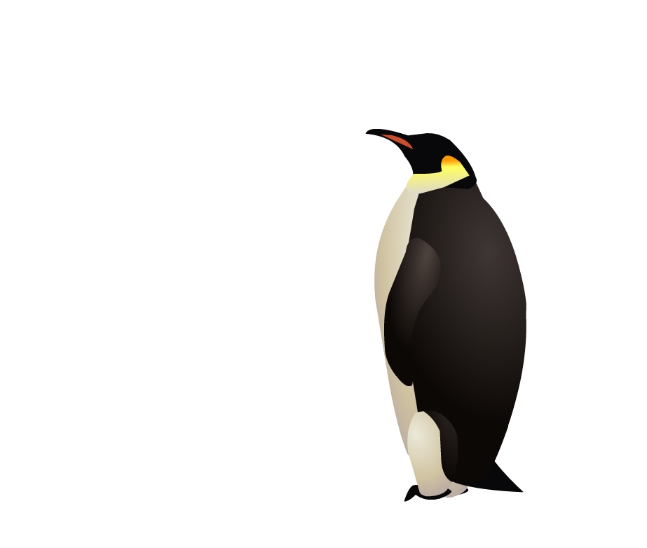 ペンギンのイラストの画像 ジーソザイ